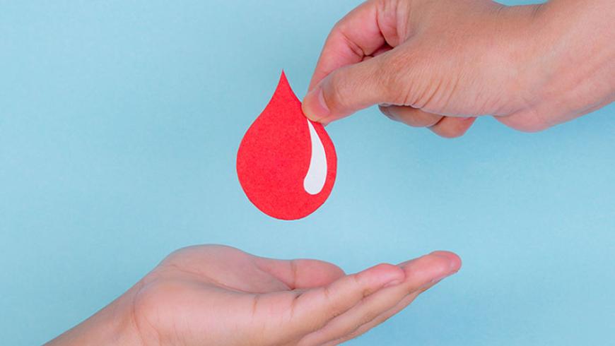 Donazione di sangue e cellule staminali